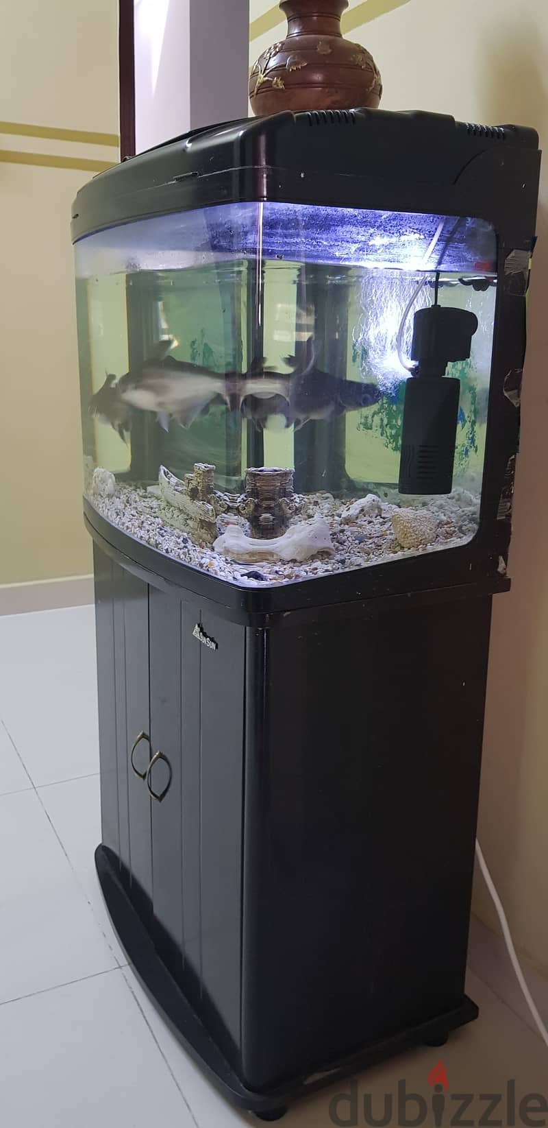 Aquarium with table. 5