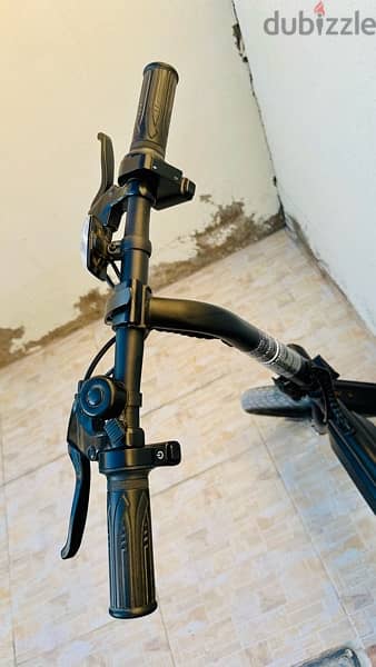 Eletric Scooter ( with pedal ) 4