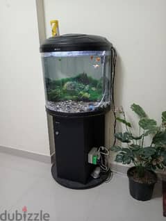 fish tank 0