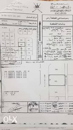 185 - ارض للبيع في محافظة البريمي منطقة الخضراء الجديدة المربع الث
