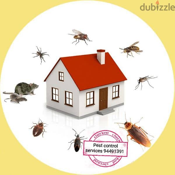 we provide you the best pest control services 94491391 5