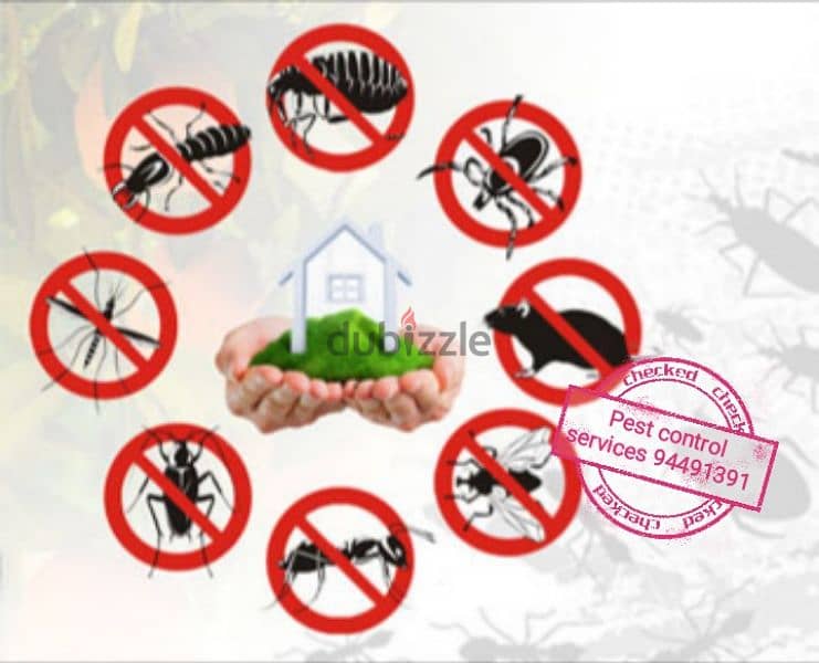 we provide you the best pest control services 94491391 7