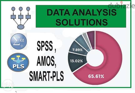 Data Analysis Services