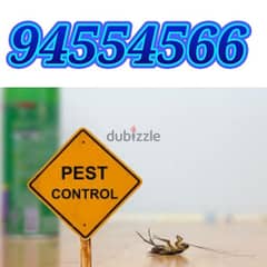 Pest control service and house cleaning