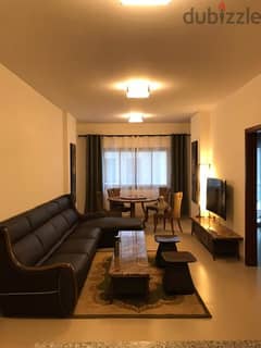 Luxury Fully Furnished 1 BR Apartment For Rent