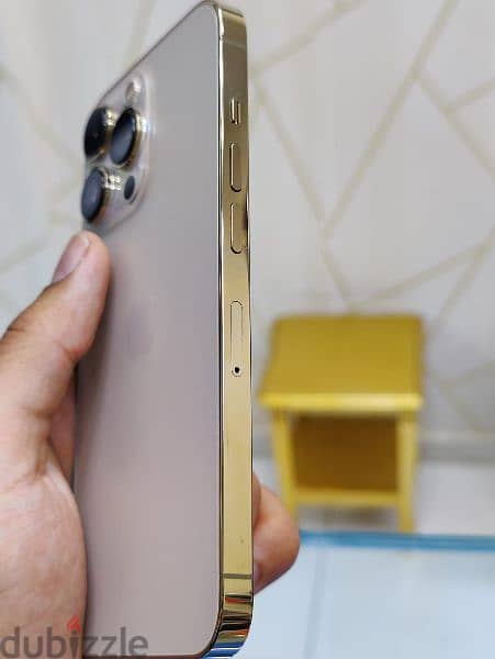 iPhone 13 Pro (Gold) 5