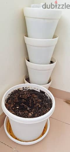plant pots 5 nos