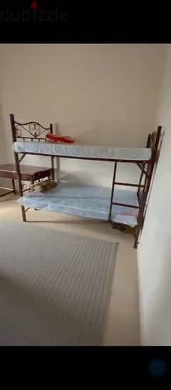 Room available in Halbaan