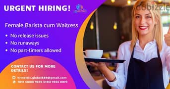 hiring female barista and waitress