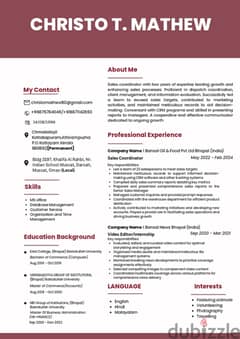 Looking For Any Sales Job