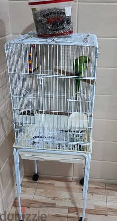 Parrot with cargo for sale 0