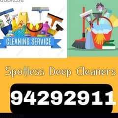 House cleaning service and pest control