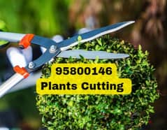 Plants Cutting, Tree Trimming, Artificial grass,Soil, Pots Pesticides 0