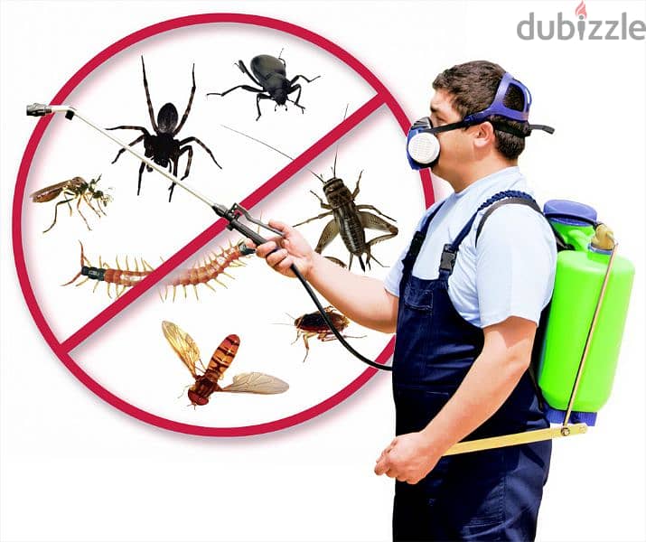 Quality pest control service and house cleaning 0