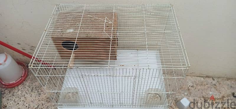 bards cages for sale used but not damage excellent condition 3