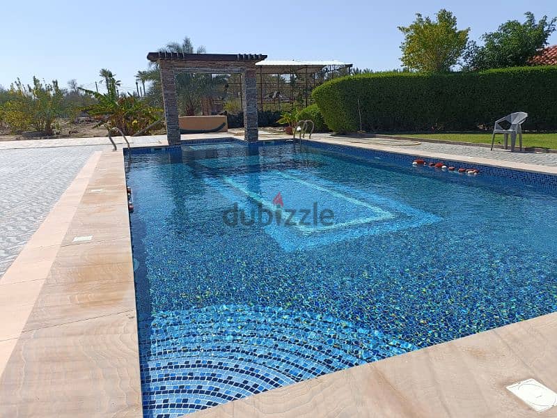 swimming pool work and house maintenance and service 3