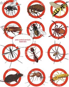 we have professional pest control services { 94491391 0