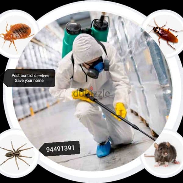 we have professional pest control services { 94491391 1