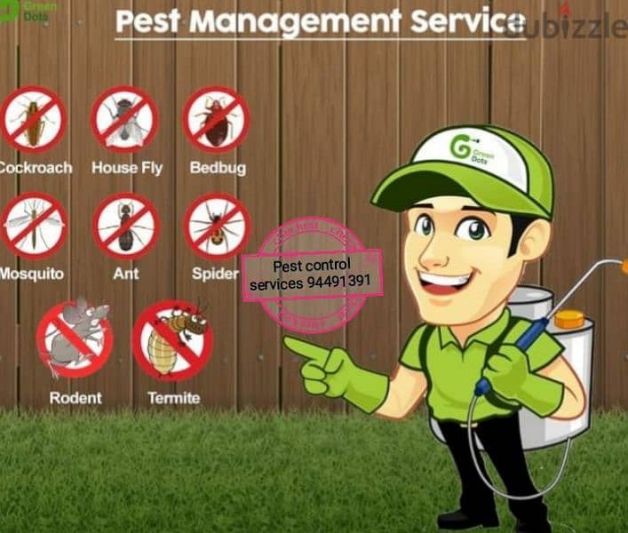 we have professional pest control services { 94491391 2