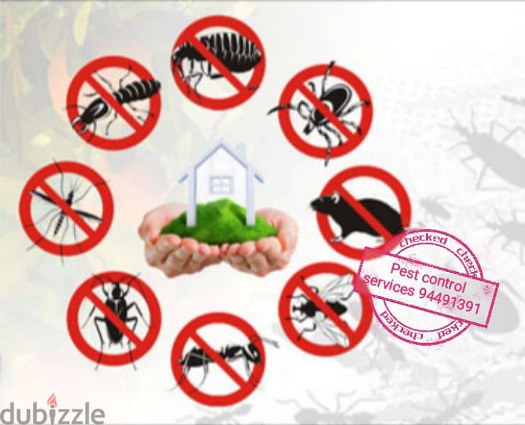 we have professional pest control services { 94491391 3