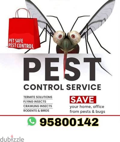 Best Pest Control , insect cockroaches lizard ants Rats etc