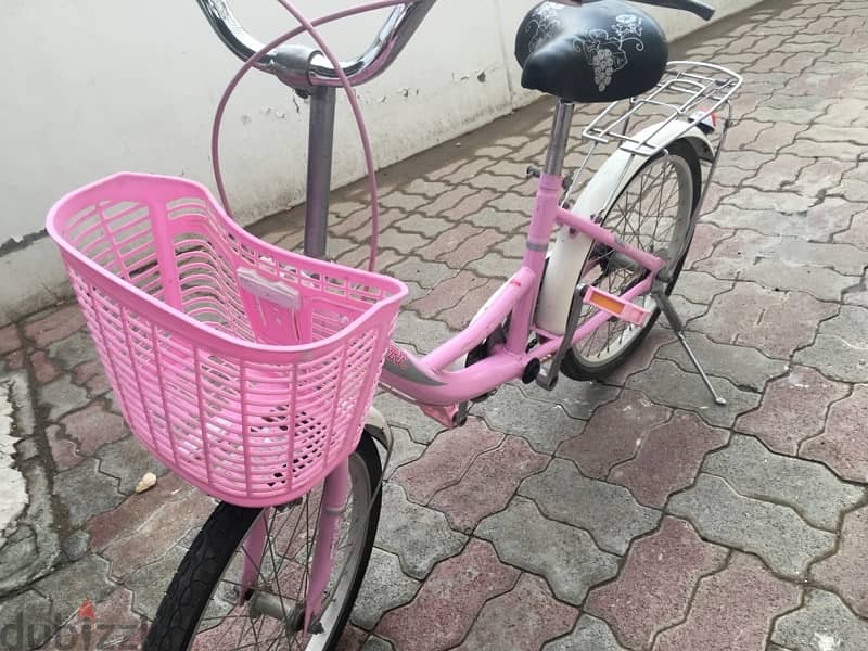 A bike with a new condition with an in front basket,and a back seat 3