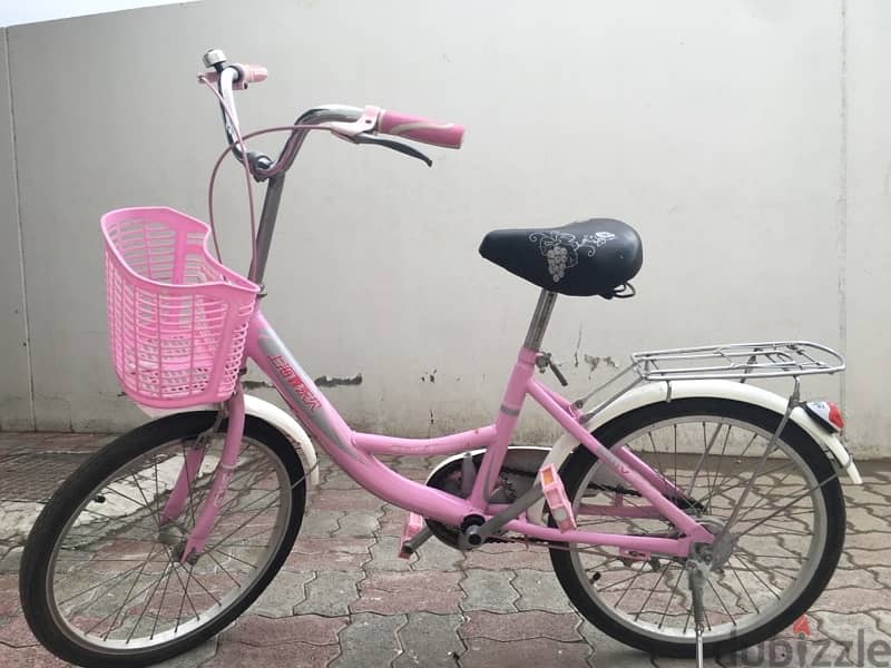 A bike with a new condition with an in front basket,and a back seat 5