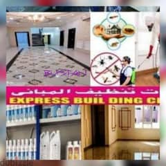 express cleaning &pest control service