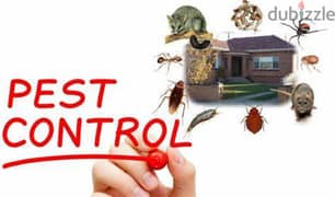 Genreral pest control service 0