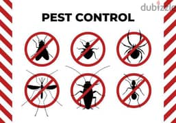Quality pest control service 0