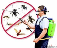Pest control service and house cleaning service 0