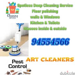 Full deep cleaning and pest control service