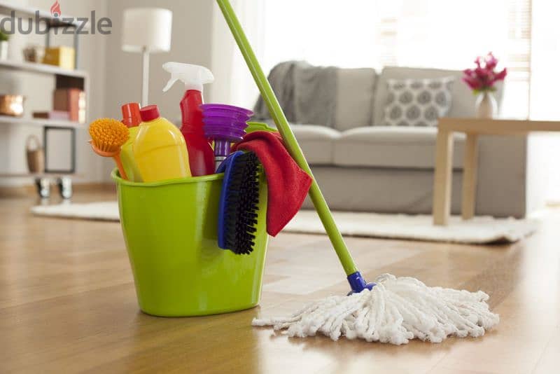 مكافحة الحشرات وتنظيف المباني Cleaning’s & Pest Control Services 1