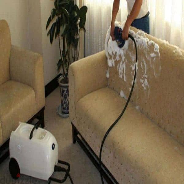 مكافحة الحشرات وتنظيف المباني Cleaning’s & Pest Control Services 3