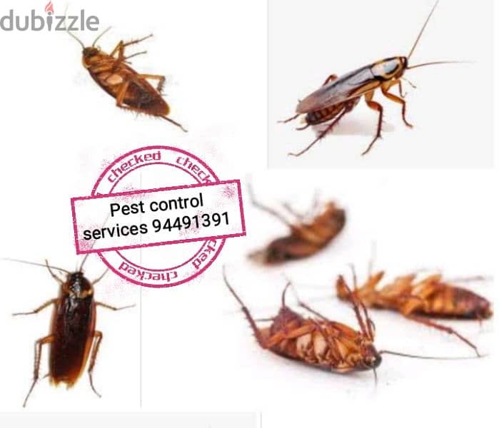 pest control service's ( 94491391 ) 5