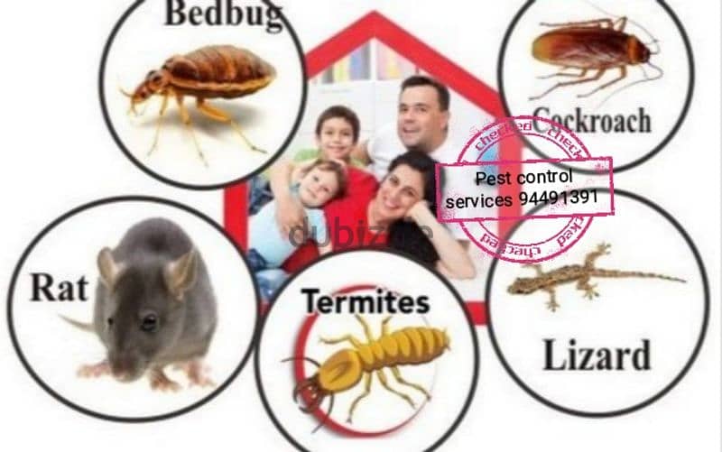 pest control service's ( 94491391 ) 7