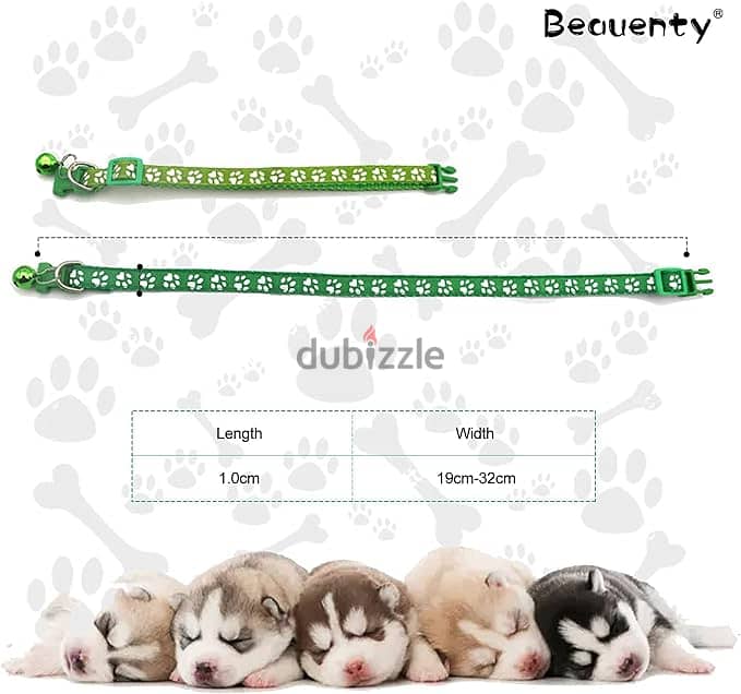 Collars for kittens and puppies 1