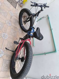 Flat tyre foldable bicycle 0