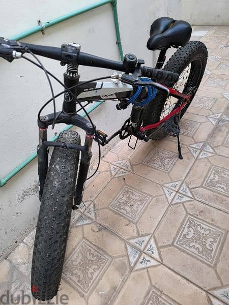 Flat tyre foldable bicycle 2