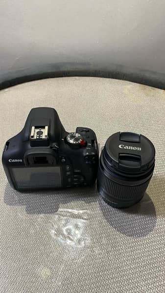 كاميرا كانون - canon EOS 2000D 3
