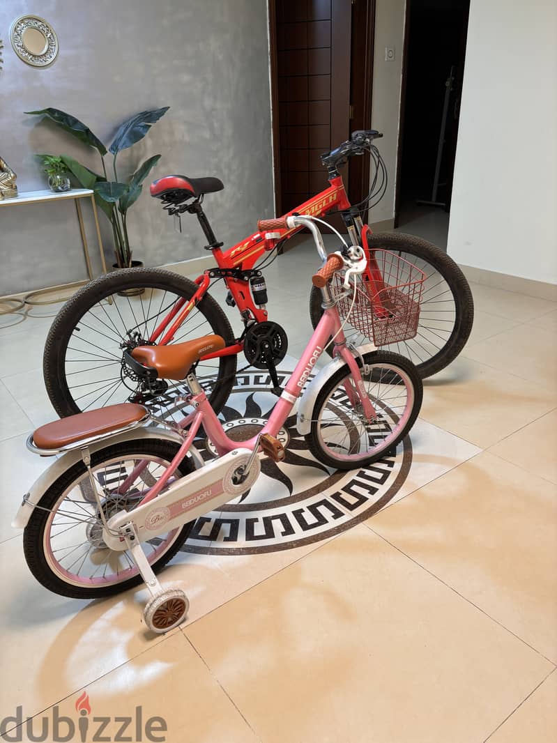 2 Cycle for sale 1