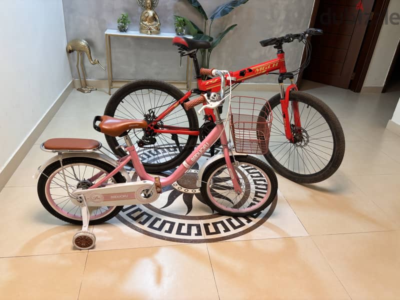 2 Cycle for sale 2