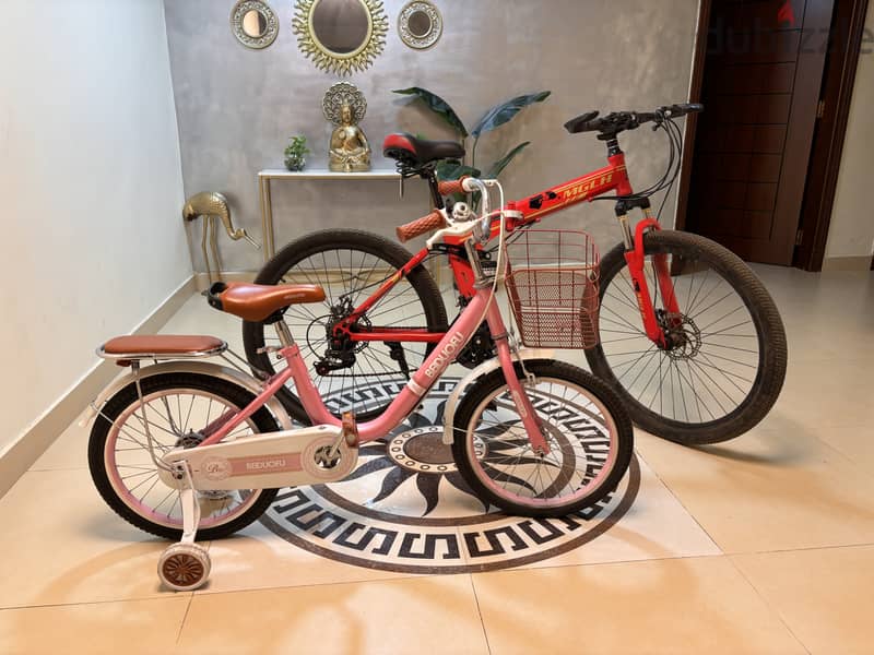 2 Cycle for sale 3