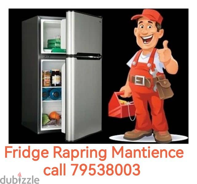Expert All type Fridge Mantience and Rapring 0
