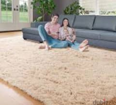 carpet& sofa
