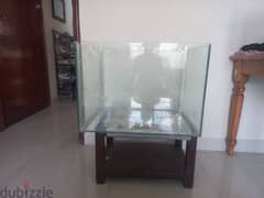 big tank for sale 0