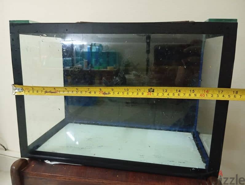 Fish tank for sale 1