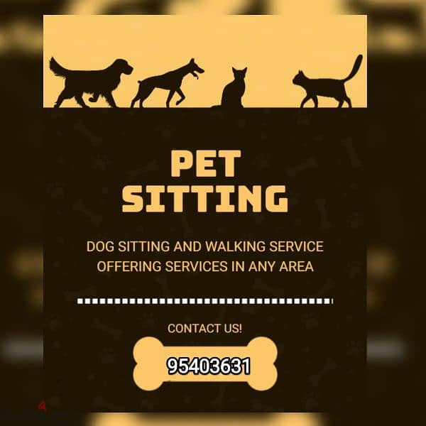 Pet care, grooming and handler 11