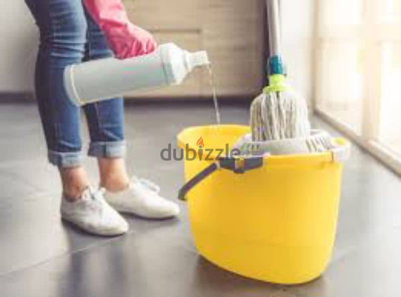 House cleaning Villa cleaning commercial sector cleaning 1