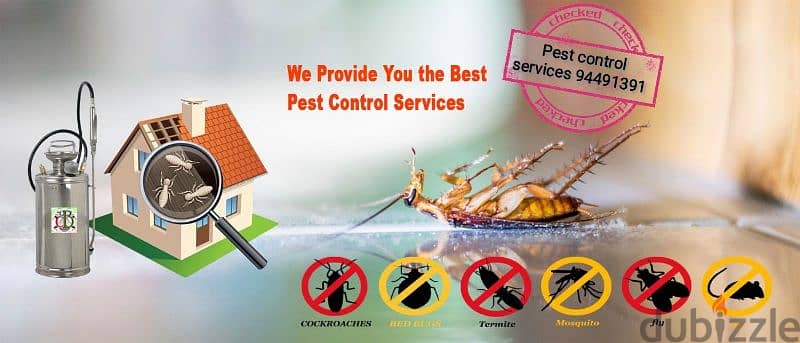 we have professional pest control services 2